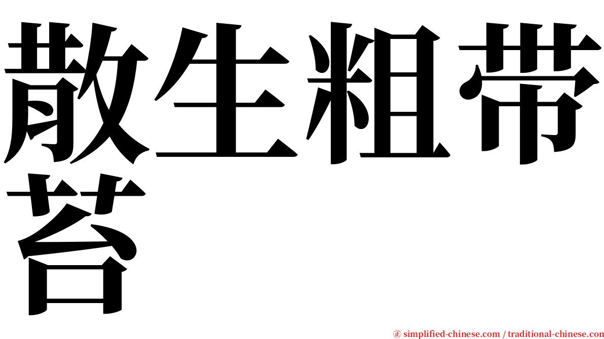 散生粗带苔 serif font