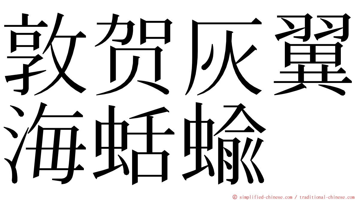 敦贺灰翼海蛞蝓 ming font