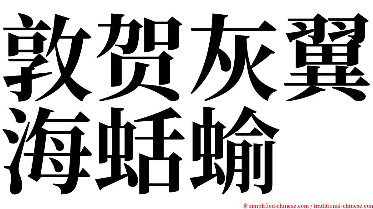 敦贺灰翼海蛞蝓 serif font