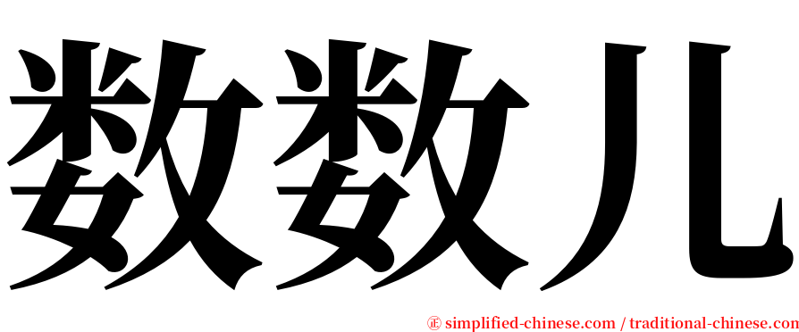 数数儿 serif font