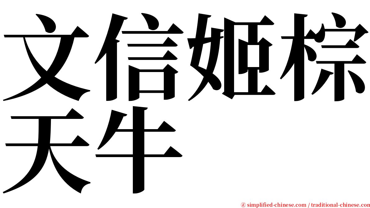 文信姬棕天牛 serif font