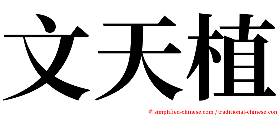 文天植 serif font