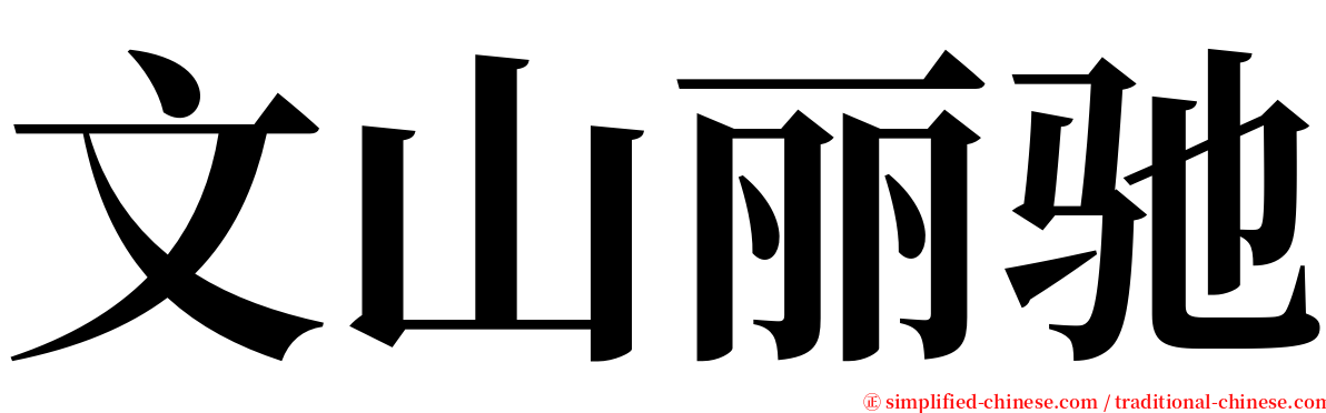 文山丽驰 serif font