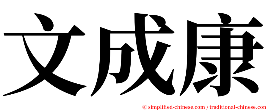 文成康 serif font