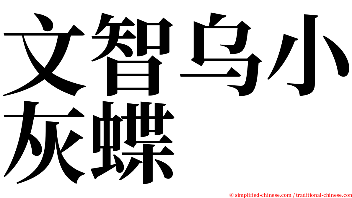 文智乌小灰蝶 serif font