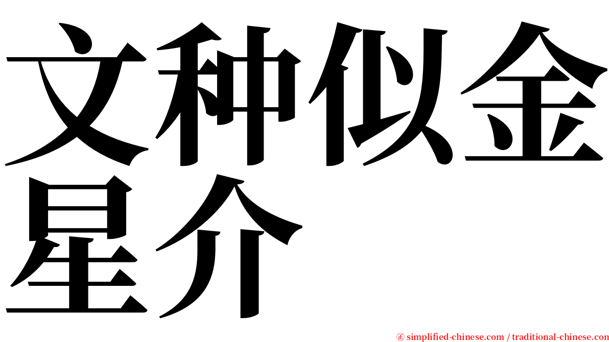 文种似金星介 serif font