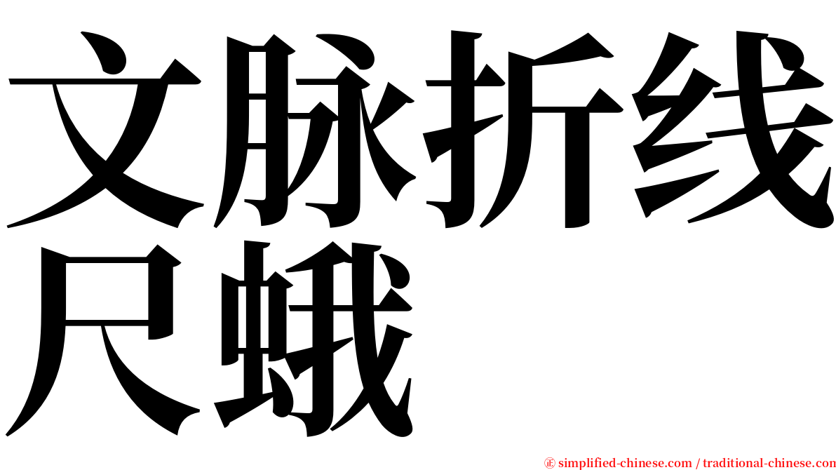 文脉折线尺蛾 serif font