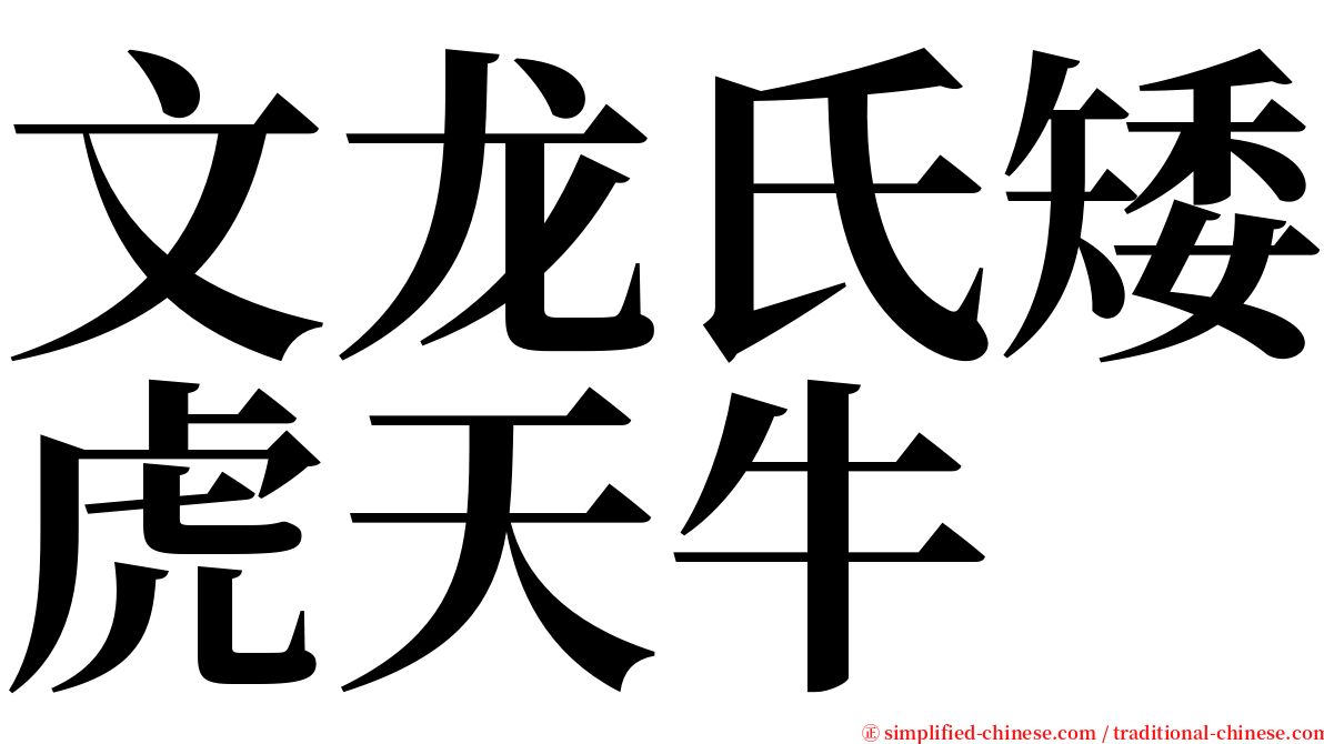 文龙氏矮虎天牛 serif font