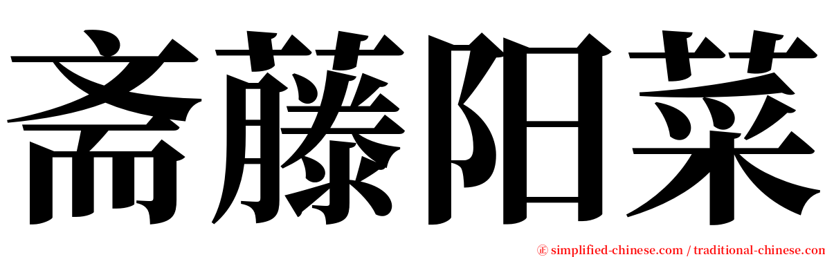 斋藤阳菜 serif font