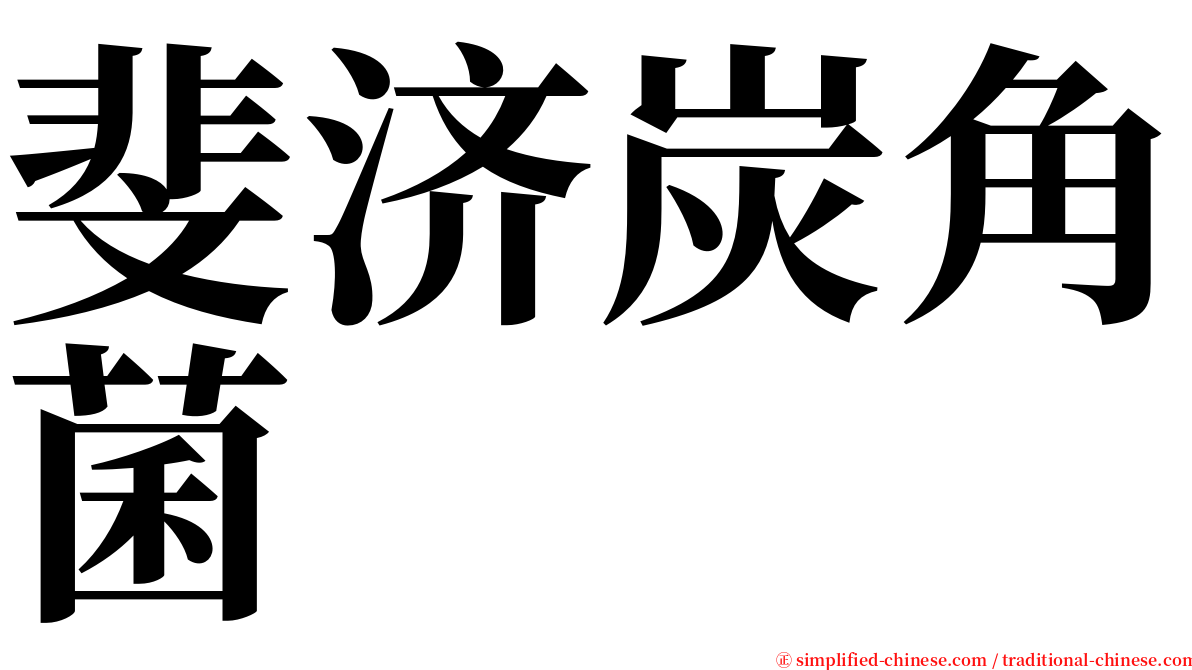 斐济炭角菌 serif font