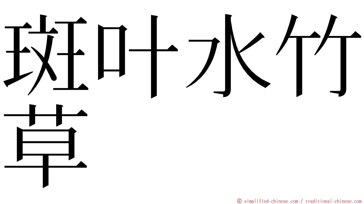 斑叶水竹草 ming font