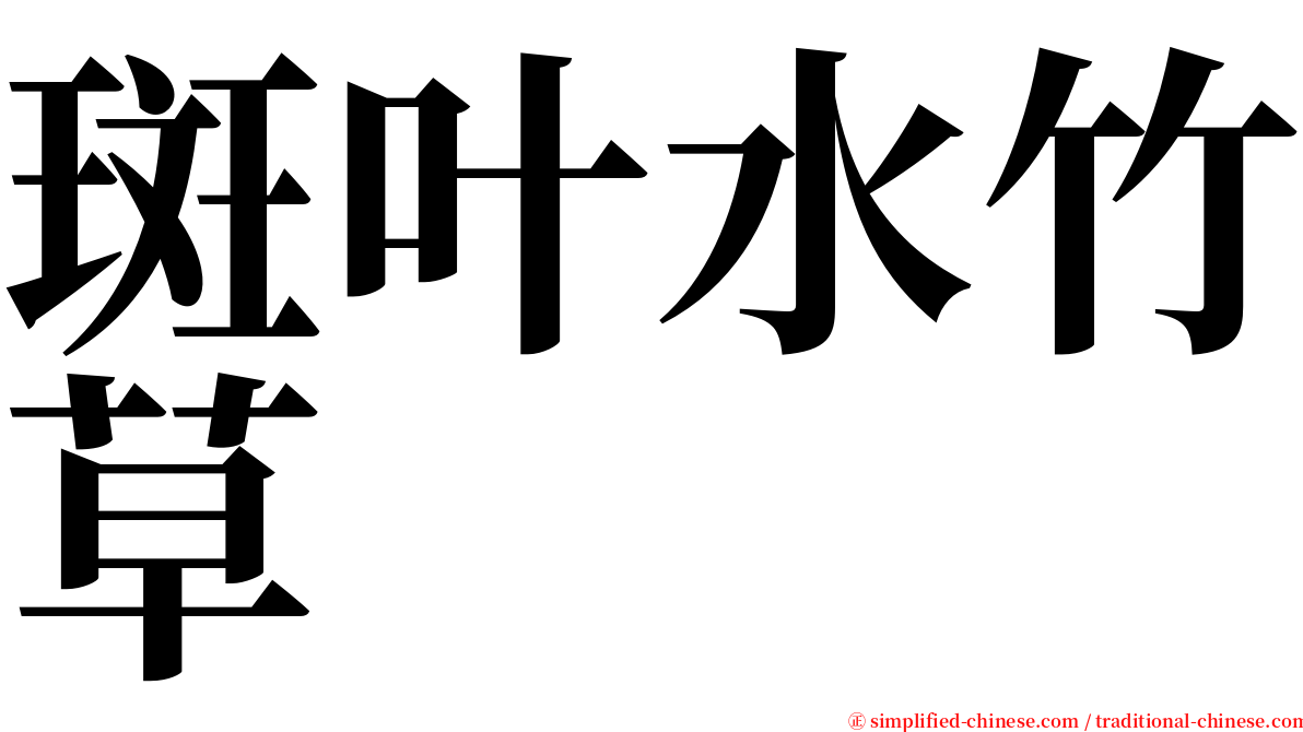 斑叶水竹草 serif font