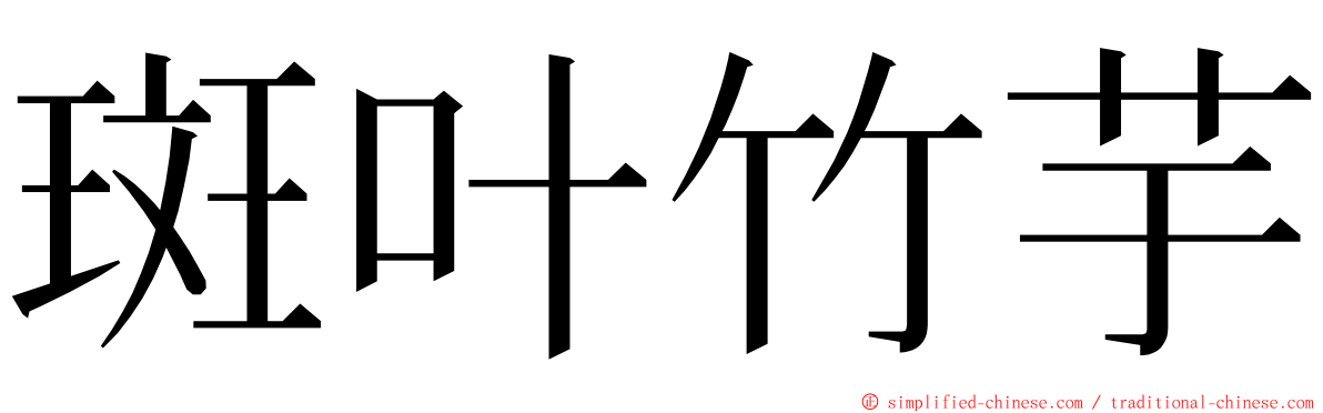 斑叶竹芋 ming font