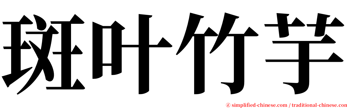斑叶竹芋 serif font