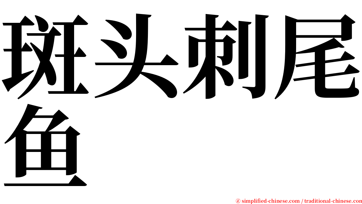 斑头刺尾鱼 serif font