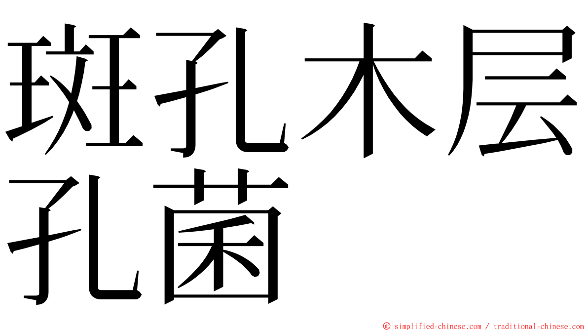 斑孔木层孔菌 ming font