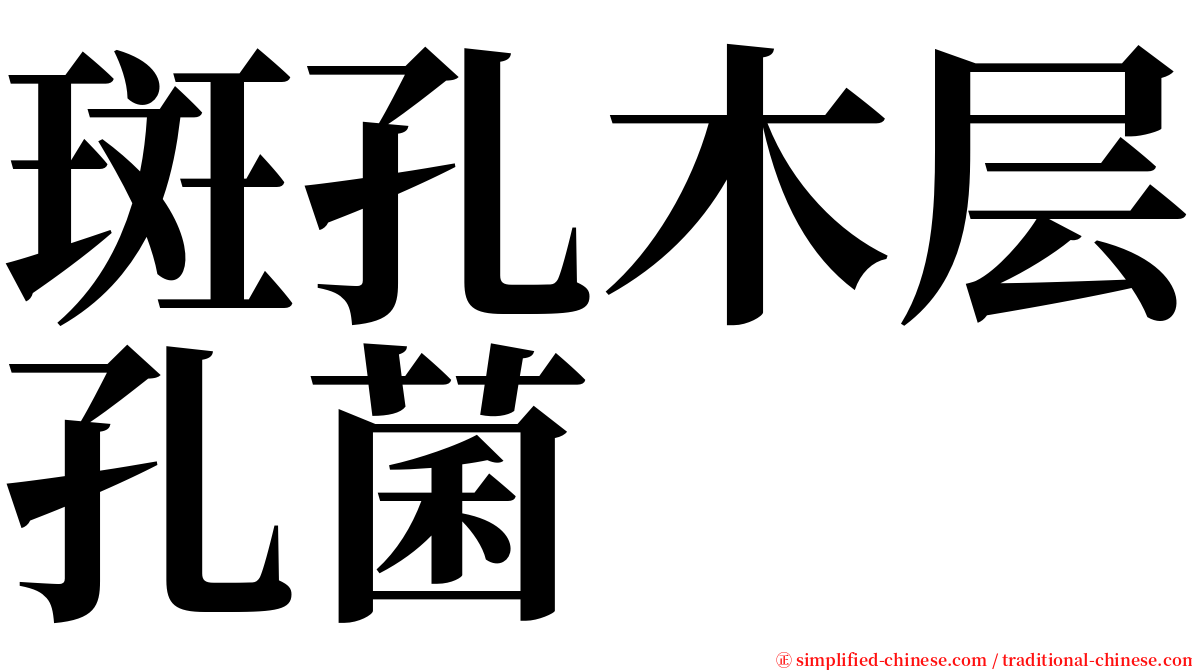 斑孔木层孔菌 serif font