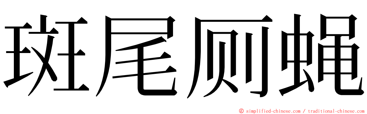 斑尾厕蝇 ming font