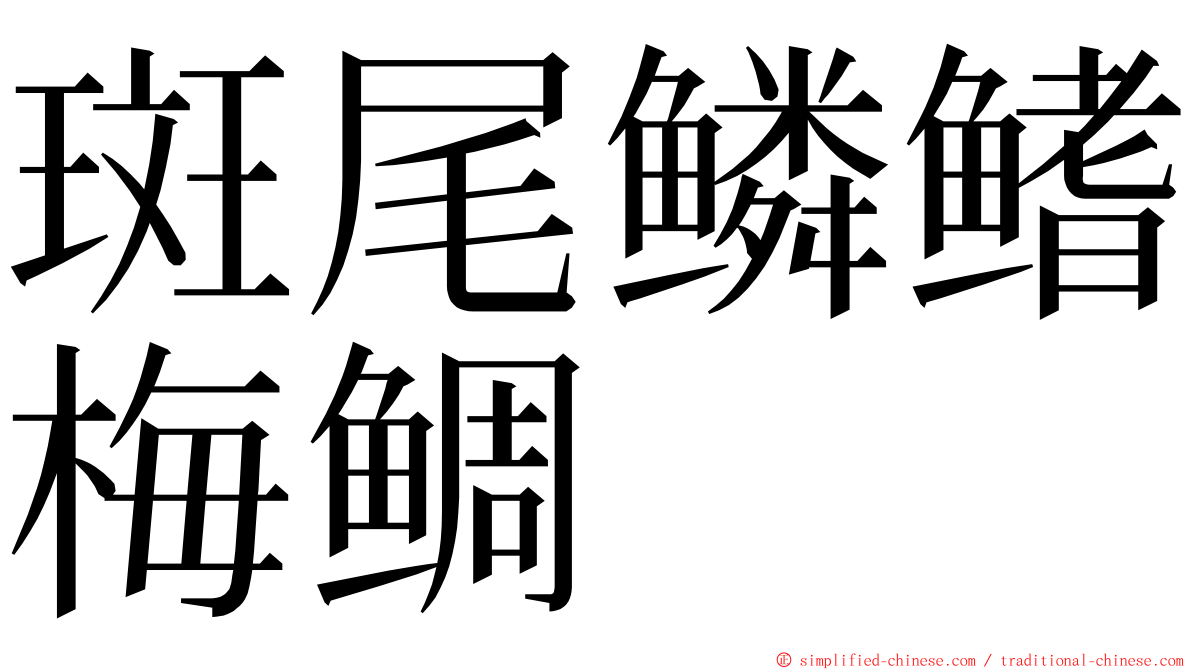 斑尾鳞鳍梅鲷 ming font