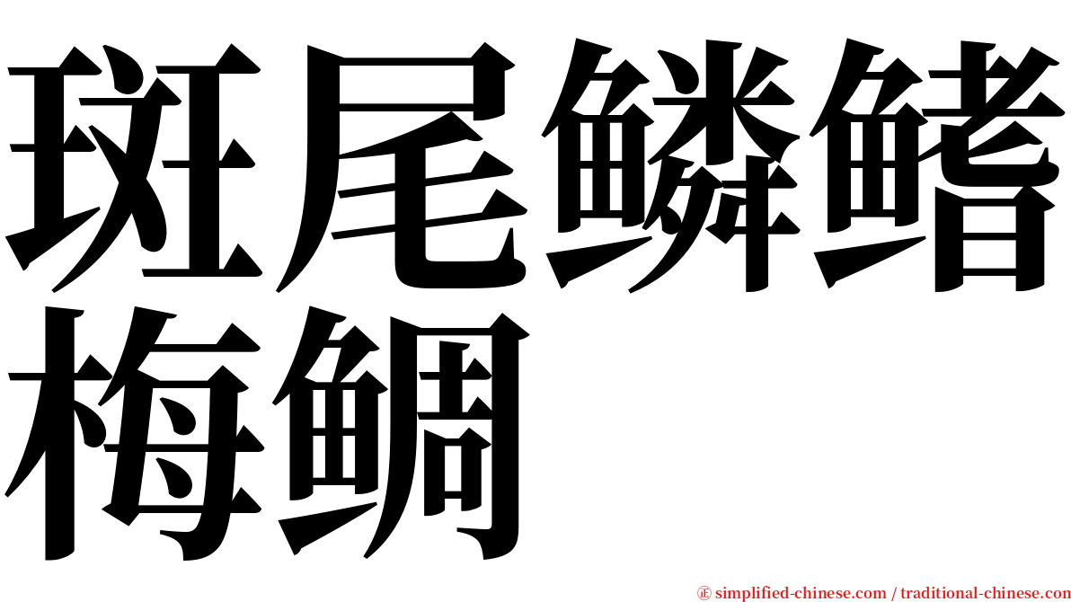 斑尾鳞鳍梅鲷 serif font