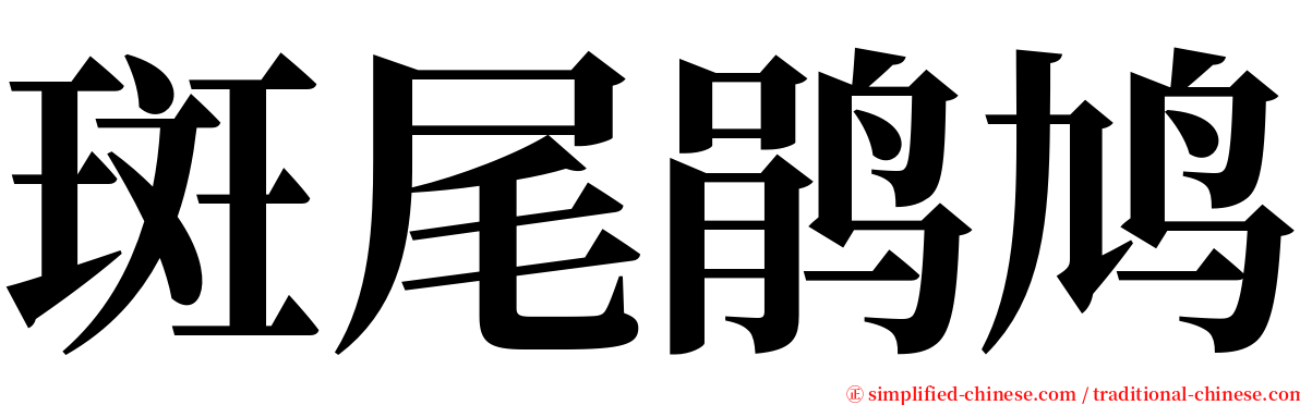 斑尾鹃鸠 serif font