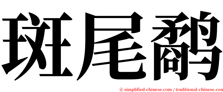 斑尾鹬 serif font