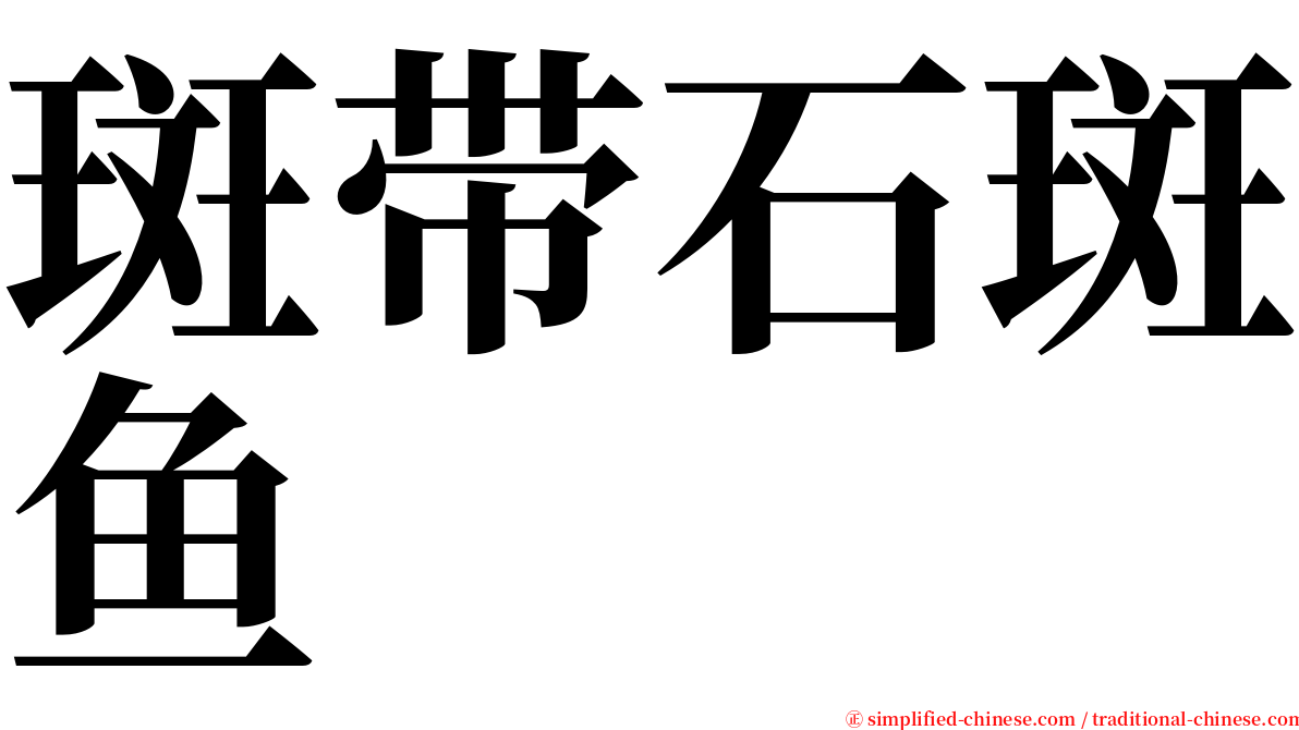 斑带石斑鱼 serif font