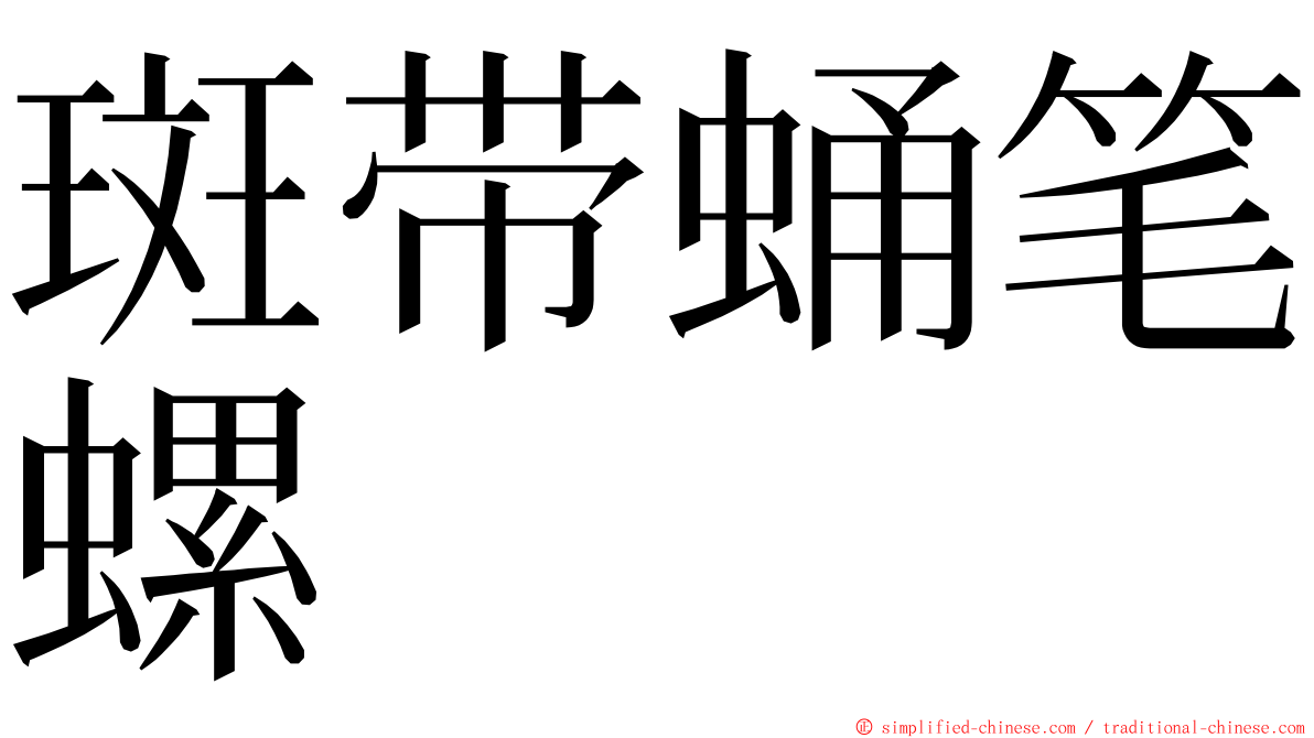 斑带蛹笔螺 ming font