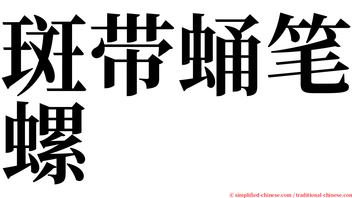 斑带蛹笔螺 serif font