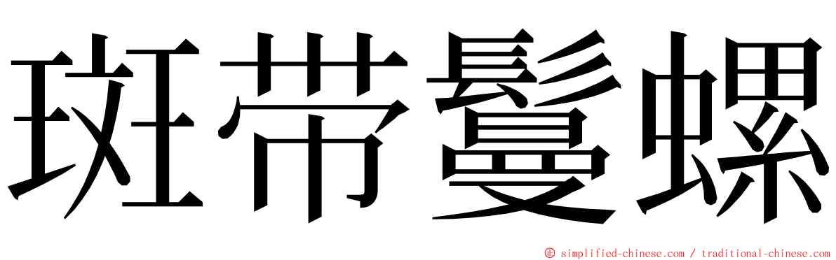 斑带鬘螺 ming font