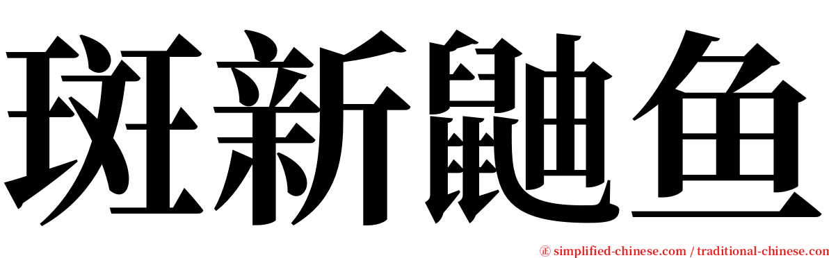 斑新鼬鱼 serif font