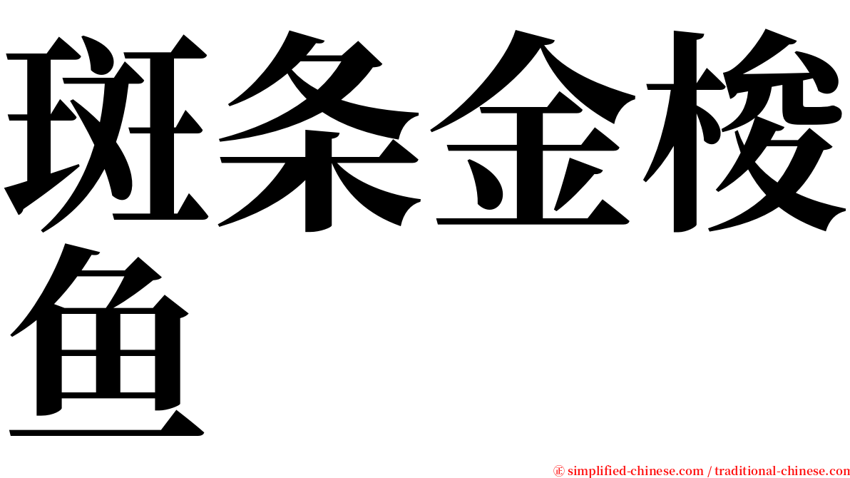 斑条金梭鱼 serif font