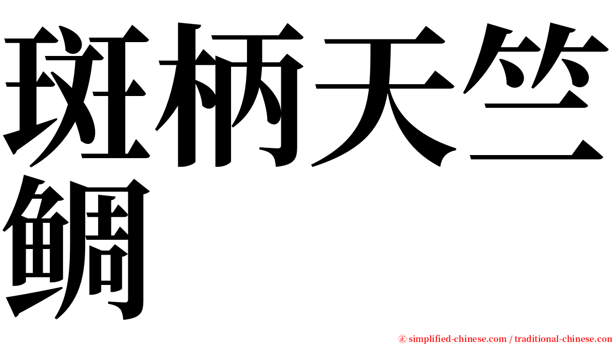 斑柄天竺鲷 serif font