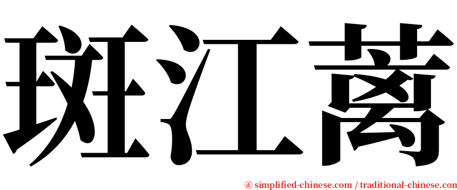 斑江蓠 serif font