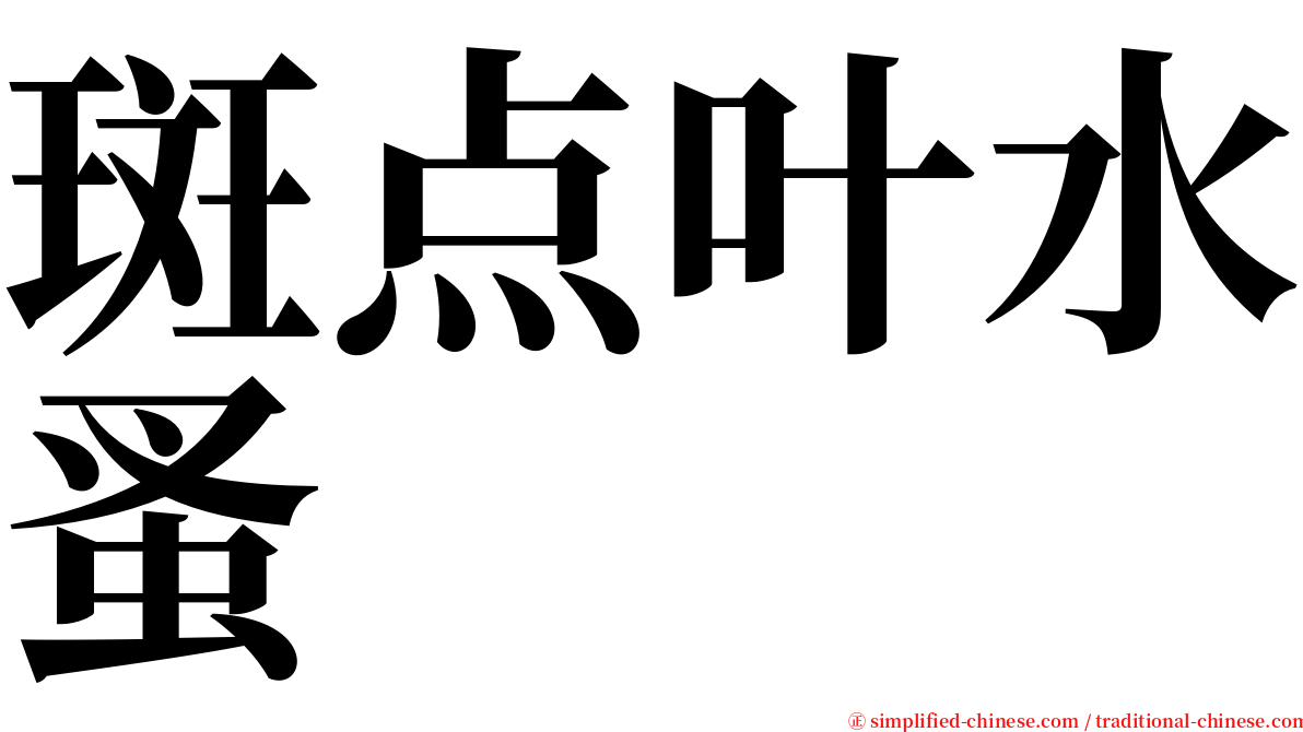 斑点叶水蚤 serif font