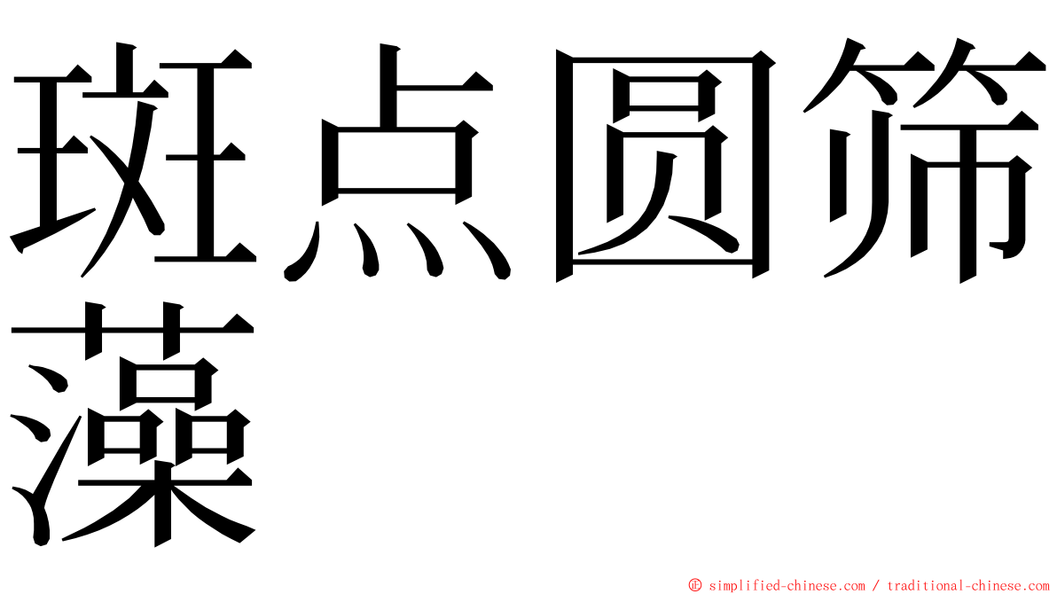 斑点圆筛藻 ming font