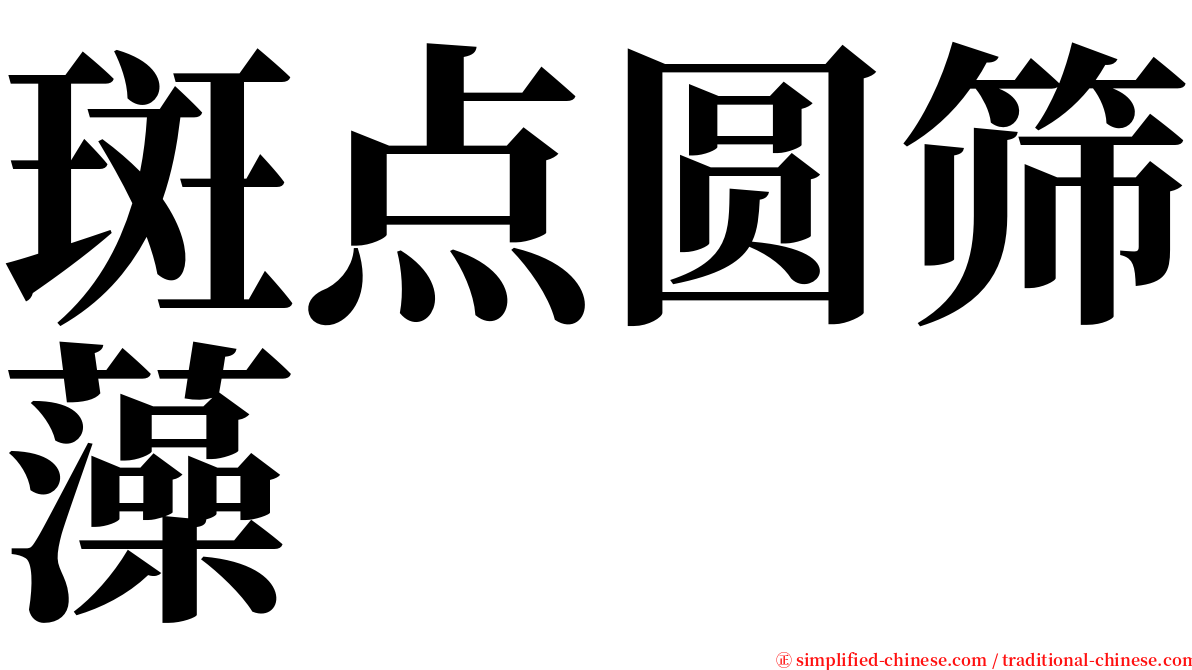 斑点圆筛藻 serif font