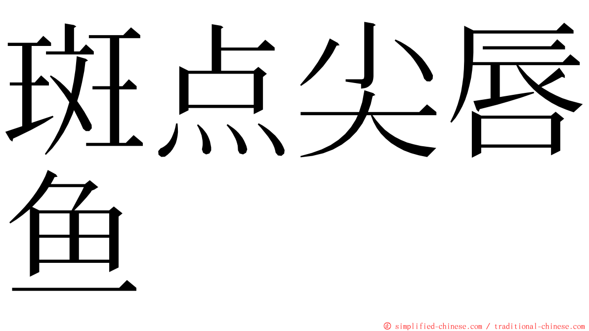 斑点尖唇鱼 ming font