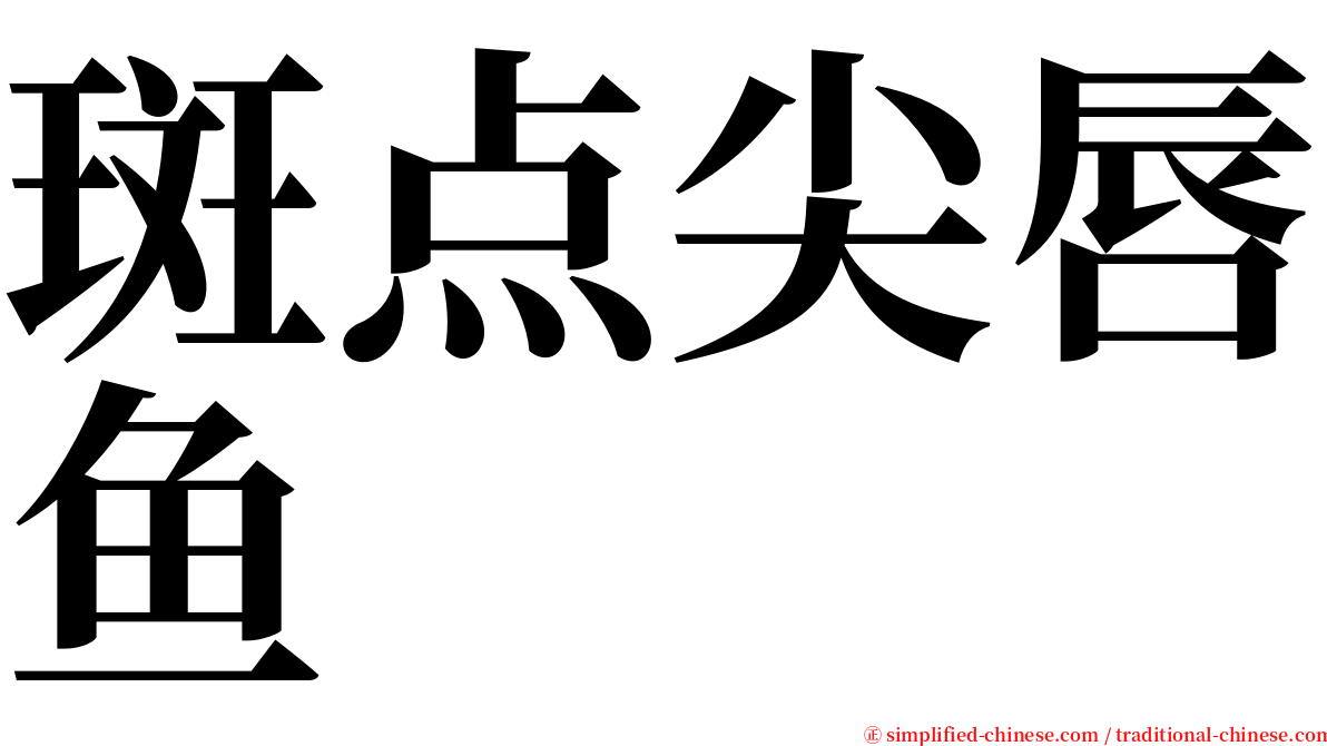 斑点尖唇鱼 serif font