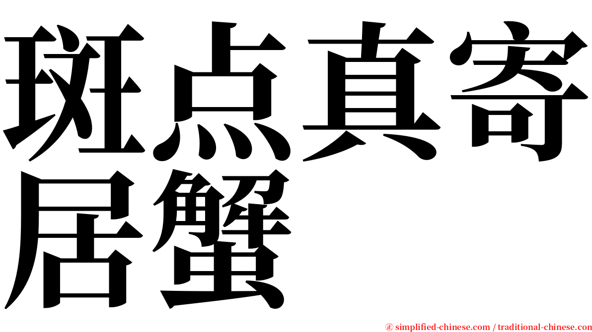 斑点真寄居蟹 serif font