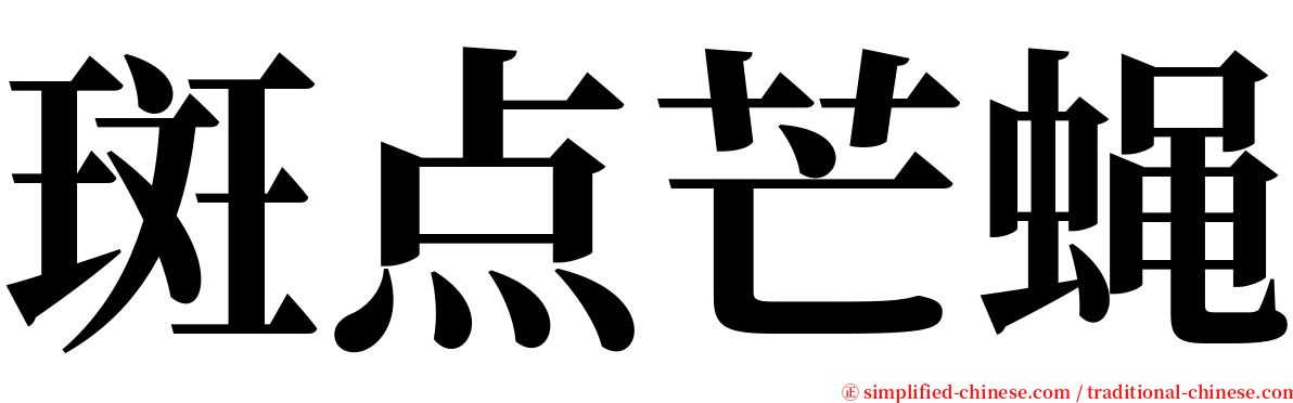 斑点芒蝇 serif font