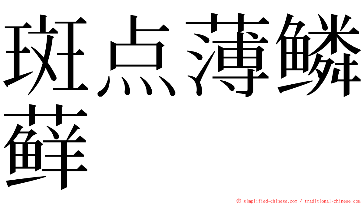 斑点薄鳞藓 ming font