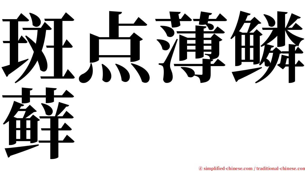 斑点薄鳞藓 serif font