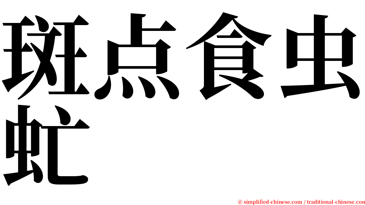 斑点食虫虻 serif font