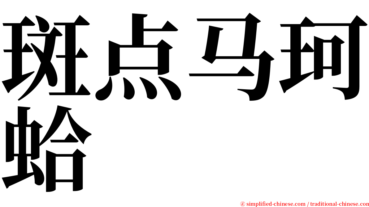 斑点马珂蛤 serif font