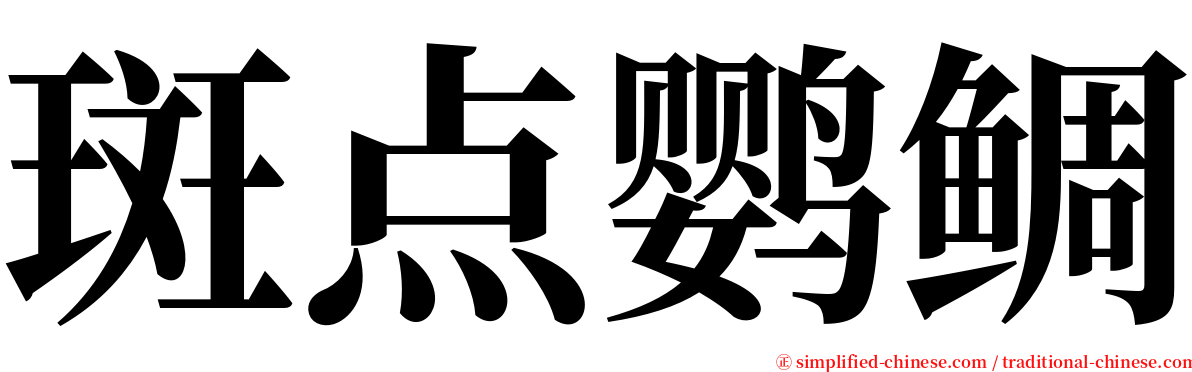 斑点鹦鲷 serif font