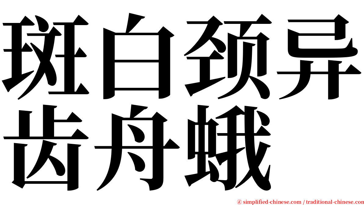 斑白颈异齿舟蛾 serif font