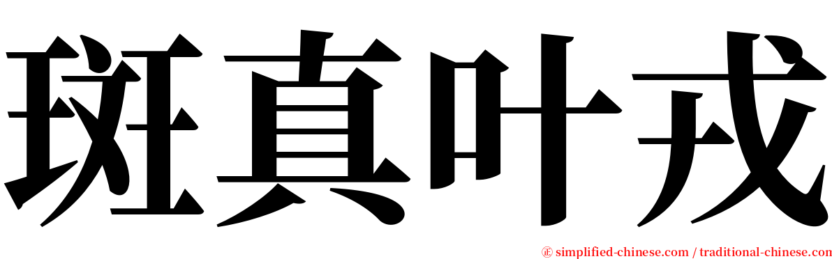 斑真叶戎 serif font