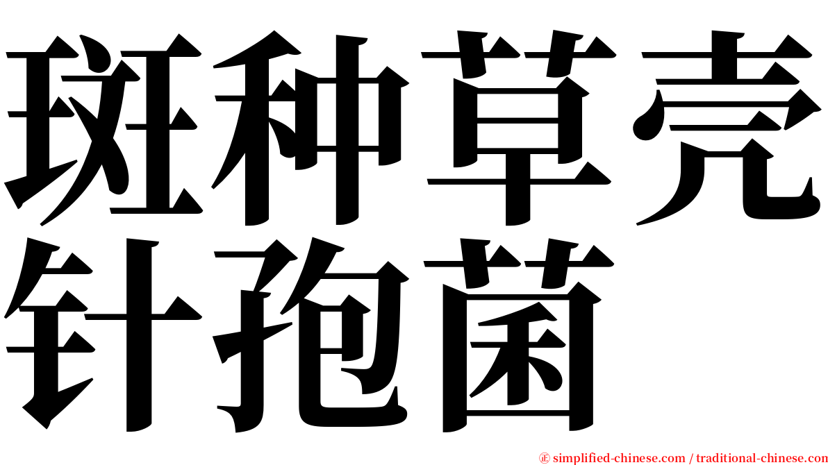 斑种草壳针孢菌 serif font