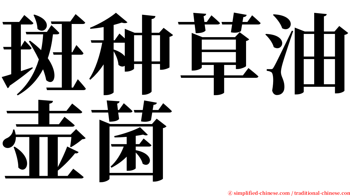 斑种草油壶菌 serif font